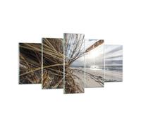 Cuadro Sobre Vidrio 160x85cm Cuadros Pared Costa Perspectiva Hierba Wall Art