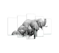 Cuadro Sobre Vidrio 160x85cm Cuadros Pared Elefantes Familia Blanco Y Negro Art