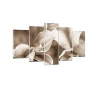 Cuadro Sobre Vidrio 160x85cm Cuadros Pared Flores Boho Sin Wall Art Prints Decor