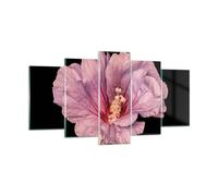 Cuadro Sobre Vidrio 160x85cm Cuadros Pared Hibisco Flor Rosa Wall Art Prints