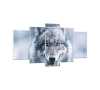 Cuadro Sobre Vidrio 160x85cm Cuadros Pared lobo depredador salvajismo Wall Art