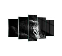Cuadro Sobre Vidrio 160x85cm Cuadros Pared Mono Gorila Retrato Wall Art Prints
