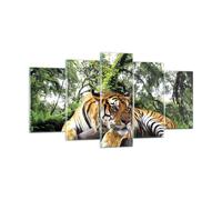 Cuadro Sobre Vidrio 160x85cm Cuadros Pared Tigre Selva Descanso Wall Art Prints