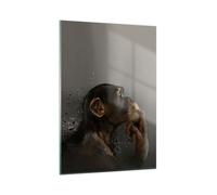 Cuadro Sobre Vidrio 50x70cm Cuadros Pared Chimpancé Retrato Gráficos Wall Art