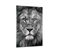 Cuadro Sobre Vidrio 50x70cm Cuadros Pared Retrato León Blanco Y Negro Wall Art