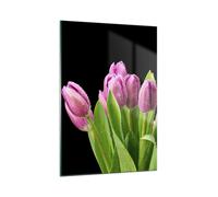 Cuadro Sobre Vidrio 50x70cm Cuadros Pared Tulipanes ramo rocío gotas Wall Art