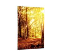 Cuadro Sobre Vidrio 70x100cm Cuadros Pared bosque arbol naturaleza Wall Art