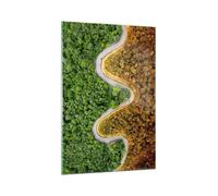Cuadro Sobre Vidrio 70x100cm Cuadros Pared Fotografía Aérea Manera Bosque Art