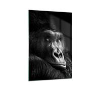 Cuadro Sobre Vidrio 70x100cm Cuadros Pared Mono Gorila Retrato Wall Art Prints
