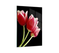 Cuadro Sobre Vidrio 70x100cm Cuadros Pared Tulipán jardín flor ramo Wall Art