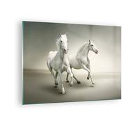 Cuadro Sobre Vidrio 70x50cm Cuadros Pared Animales árabe caballo granja Wall Art