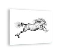 Cuadro Sobre Vidrio 70x50cm Cuadros Pared Caballo Dibujo Lápiz Wall Art Prints