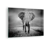 Cuadro Sobre Vidrio 70x50cm Cuadros Pared Elefante Salvaje Naturaleza Wall Art