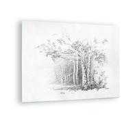 Cuadro Sobre Vidrio 70x50cm Cuadros Pared Esbozo Bosque Abedul Wall Art Prints