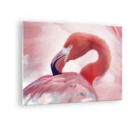 Cuadro Sobre Vidrio 70x50cm Cuadros Pared Flamenco Ave Retrato Wall Art Prints