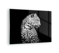 Cuadro Sobre Vidrio 70x50cm Cuadros Pared leopardo pantera gato Wall Art Prints