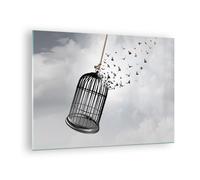 Cuadro Sobre Vidrio 70x50cm Cuadros Pared Libertad Jaula Aves Wall Art Prints