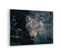 Cuadro Sobre Vidrio 70x50cm Cuadros Pared lobo bosque depredador Wall Art Prints