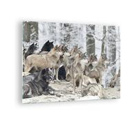 Cuadro Sobre Vidrio 70x50cm Cuadros Pared Manada Lobos Invierno Wall Art Prints