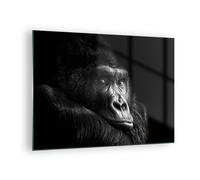 Cuadro Sobre Vidrio 70x50cm Cuadros Pared Mono Gorila Retrato Wall Art Prints