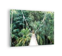 Cuadro Sobre Vidrio 70x50cm Cuadros Pared Zona intertropical selva puente Art