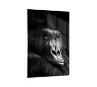 Cuadro Sobre Vidrio 80x120cm Cuadros Pared Mono Gorila Retrato Wall Art Prints