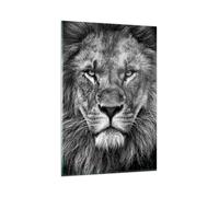 Cuadro Sobre Vidrio 80x120cm Cuadros Pared Retrato León Blanco Y Negro Wall Art