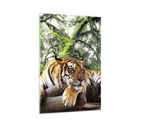Cuadro Sobre Vidrio 80x120cm Cuadros Pared Tigre Selva Descanso Wall Art Prints
