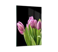 Cuadro Sobre Vidrio 80x120cm Cuadros Pared Tulipanes ramo rocío gotas Wall Art