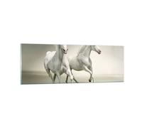 Cuadro Sobre Vidrio 90x30cm Cuadros Pared Animales árabe caballo granja Wall Art