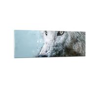 Cuadro Sobre Vidrio 90x30cm Cuadros Pared Blanco El Lobo Imagen Wall Art Prints