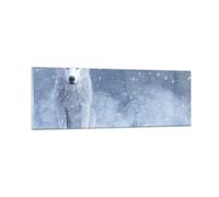Cuadro Sobre Vidrio 90x30cm Cuadros Pared Blanco lobo nieve Wall Art Prints