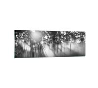 Cuadro Sobre Vidrio 90x30cm Cuadros Pared Bosque Pino Sol Wall Art Prints Decor