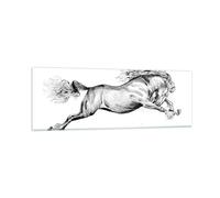 Cuadro Sobre Vidrio 90x30cm Cuadros Pared Caballo Dibujo Lápiz Wall Art Prints