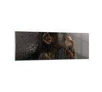 Cuadro Sobre Vidrio 90x30cm Cuadros Pared Chimpancé Retrato Gráficos Wall Art