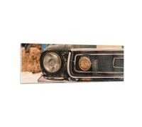Cuadro Sobre Vidrio 90x30cm Cuadros Pared Cubierta Ford Mustango Wall Art Prints