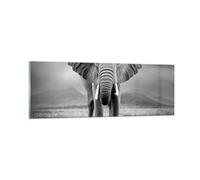 Cuadro Sobre Vidrio 90x30cm Cuadros Pared Elefante Salvaje Naturaleza Wall Art