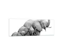 Cuadro Sobre Vidrio 90x30cm Cuadros Pared Elefantes Familia Blanco Y Negro Art
