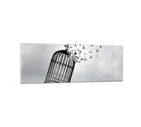 Cuadro Sobre Vidrio 90x30cm Cuadros Pared Libertad Jaula Aves Wall Art Prints