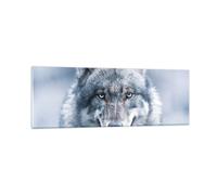 Cuadro Sobre Vidrio 90x30cm Cuadros Pared lobo depredador salvajismo Wall Art