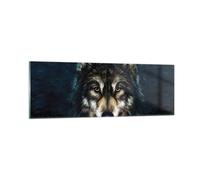 Cuadro Sobre Vidrio 90x30cm Cuadros Pared Lobo Oscuro Gráficos Wall Art Prints