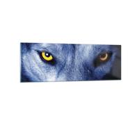 Cuadro Sobre Vidrio 90x30cm Cuadros Pared Mira El Lobo Ojos Wall Art Prints