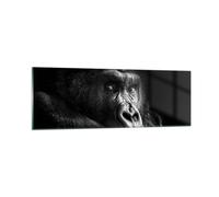 Cuadro Sobre Vidrio 90x30cm Cuadros Pared Mono Gorila Retrato Wall Art Prints