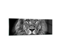 Cuadro Sobre Vidrio 90x30cm Cuadros Pared Retrato León Blanco Y Negro Wall Art