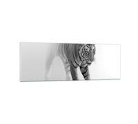 Cuadro Sobre Vidrio 90x30cm Cuadros Pared Tigre Monocromo Retrato Wall Art