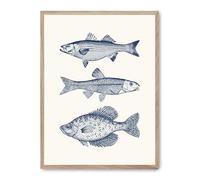 Cuadro vintage fish_FASE5