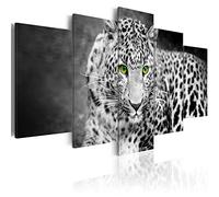 Cuadros B&D XXL - Cuadro en Lienzo Leopardo 150x75 cm 5 piezas - Impresión en material tejido no tejido cuadros decoracion salon modernos lienzos - Animal cat gato g-A-0086-b-p
