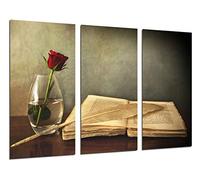 Cuadros Cámara - Cuadro Fotográfico Pluma y Libro Vintage, Multicolor, 97 x 62 cm