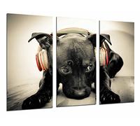 Cuadros Camara Poster Moderno Fotografico Hipster Animal Perro con Cascos Rojos, Color Sepia, 97 x 62 cm, Ref. PST26907
