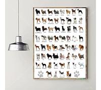 Cuadros Decoracion,Cuadro De Anatomía De Dachshund, Cuadro De Razas De Perros, Póster Impreso, Cuadros En Lienzo, Pinturas para El Hogar, Arte De Pared, Decoración para Sala De Estar - 30X40Cm